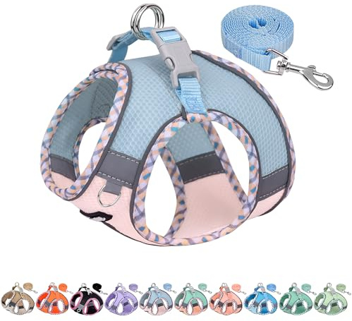 AIITLE Harnais pour Chien Anti-évasion, Gilet Anti-Traction avec Laisse, Maille Respirante, Bandes réfléchissantes, Harnais d'extérieur réglable pour Chiens de Taille Moyenne Bleu Rose M
