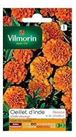 Vilmorin - Sachet graines Oeillet d'Inde Globe orange