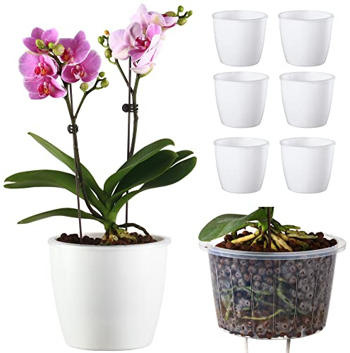 DeElf - Juego de 6 macetas de riego automático de 6.7 Pulgadas para Plantas de Interior, Hiedra del Diablo Dorado, Violeta Africana, Planta araña del océano, orquídea, Color Blanco