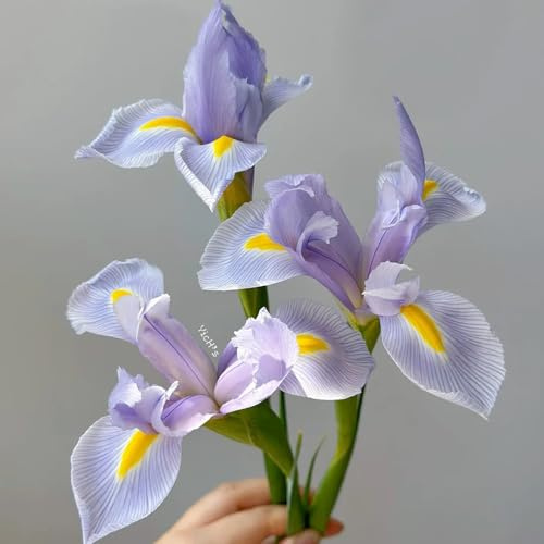 Semillas de iris, Iris tectorum, lirios son perennes resistentes, jardín, orgánicas Las perennes 120pcs