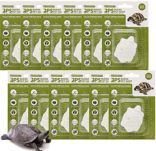 BPS 12 pezzi blocco di calcio per tartarughe grande complemento di base naturale BPS-4127 * 12