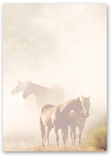 20 Sheets Motif Letter Paper! Animals Horses in The Mist DIN A4 - Paper-Media