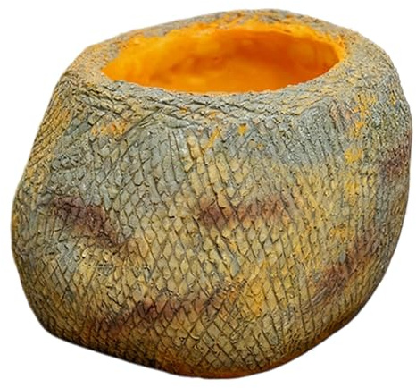 Reptilskål Halksäker Skål av Harts för Mat och Vatten | Geckoskål för vatten – för , spindel, hermiterkräfta för blötläggning och drickande inomhus, för terrarium