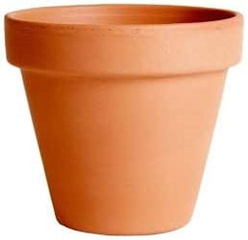 Maceta de Terracota Artesanal de 43 cm de diámetro con Acabado Liso, Diseño Clásico para Decoración de Interiores y Exteriores. Ideal para Plantas de Mediano Tamaño.