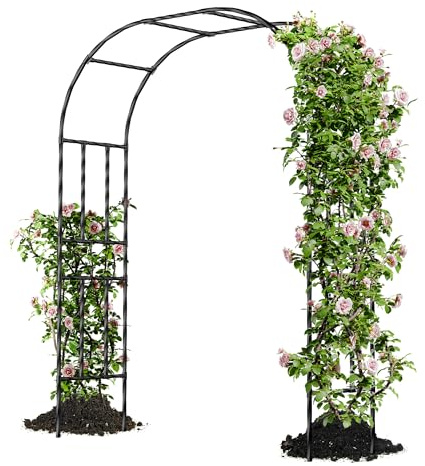 Caroeas Arche de Jardin pour Plantes Grimpantes,150x240x40cm，Arceau Métallique pour Rosiers, Tonnelle Décorative Extérieure, Résistante à la Rouille et à la Décoloration
