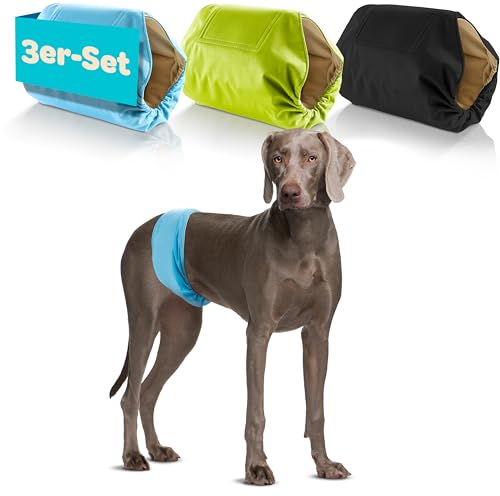 HUND IST KÖNIG Hundewindeln für Rüden [3 STK] Saugstarke Hundewindeln Rüde | Bequeme Hunde Windeln bei Inkontinenz Hund - Umweltfreundliche Rüdenwindel waschbar | Hundewindel leicht zu reinigen