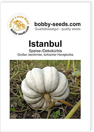 Istanbul Türk Honigkürbis von Bobby-Seeds, Portion