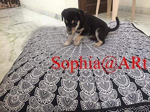 Sophia Art Bodenkissen mit indischem Pfauenmandala-Motiv, quadratisch, Ottoman, Tagesbett, Übergröße, Baumwolle, Sitzkissen, Sitzkissen, Hunde-/Haustierbett (Multi 4)