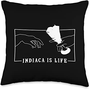 Professional Indiaca Peteca Peteca Players Gifts Michelangelo Creation of Adam Indiaca Peteca Throw Pillow, 16x16, Multicolor