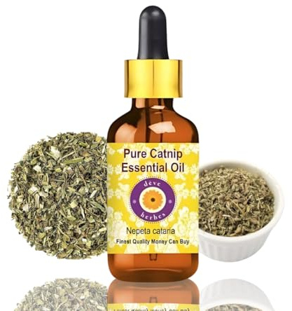Deve Herbes Pure Catnip Essential Oil (Nepeta cataria) Non-Sticky | Non-Greasy | Fresh Herbal Aroma | for Aromatherapy, Relaxation, Diffuser & Blends 5ml with Glass Dropper
