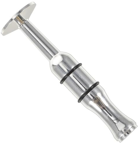DEARMAMY Entrenador de Embocadura para Trompeta Color Plata en Latón Ligero Accesorio para Práctica y Aprendizaje Profesional, Adecuado para Profesores de Trompeta