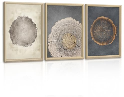 3 Pcs Vintage Árbol Anillos Madera Cuadros Decoracion Modernos Con Marco, Retro Madera Tocón Cuadros y Láminas Rústico Beige Gris Estilo Pintura Lienzos Decorativos Para Salon Dormitorios 30X40cmX3