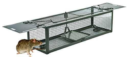 DSNOW Pièges à Rats Piège de Capture Deux Entrées Cage Piege pour Souris Rongeurs Mulots 39X13X11CM