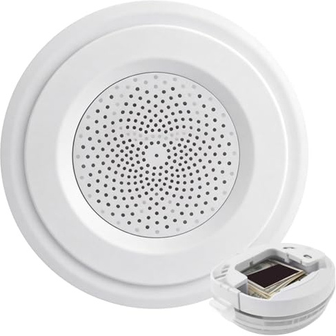 Stinger Coffre-fort décoratif avec faux détecteur de fumée, compact, 9 x 9 x 2,5 cm, solution de stockage cachée, conteneur de cachette d'argent, longue durée, pour chambres à coucher, salons