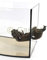 Happet Aquarium Deko Schiff Magnetisch Boot Wrack 2-teilig Schiffswrack Segelschiff