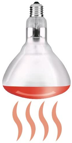 Lampada Led R125 Infrarossi E27 230V 150W Box