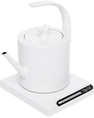 DAOHHFO Bouilloire électrique 1 l avec long bec, 1000 W, en acier inoxydable, avec socle, poignée incurvée, réglage de la température, pour café et thé de spécialités, blanc