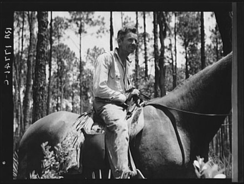 HistoricalFindings Photo: Overseer in The Turpentine Woods,Georgia,GA,Farm Security Administration,FSA,1