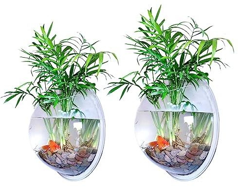 JYCRA 2pcs Bol à Poisson Mural, Bocal à Poisson Suspendu Rond en Acrylique Nom D'aquarium, Bulle de Poisson Murale à Suspendre en Acrylique Transparent Nom de Poisson Betta, Décoration de la(2PCS)