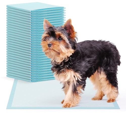 200x ARNOMED valpkuddar, valptillbehör, läckagesäker hundlatrin i 60x40cm, hundtillbehör för små hundar, absorberande valpkuddar för engångsbruk, 5-lagers PIPI-mattor för hundar, valpkuddar