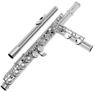 Flauto Strumento musicale da concerto per flauto traverso professionale con chiave C a 16 fori aperti chiusi