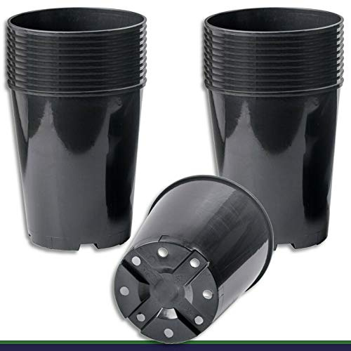 Wohnkult 50 x Anzuchttopf Pflanztopf H 7 L schwarz Ø 22 cm x 25,5 cm Blumentopf Blumenkübel Pflanztöpfe