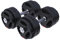 GORILLA SPORTS® Kurzhantelset - 20 kg oder 30 kg, Ø 30mm, 2 Kurzhantelstangen mit 4 Sternverschlüssen, Griff gerändelt, Kunststoff - Hantelset, Gewichte, Kurzhanteln 2er Set, Kurzhantel Set