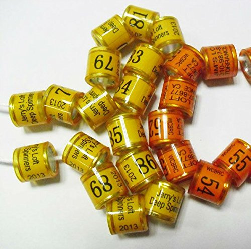 F-P 100 Pieces Customized Bands Racing Pigeon Ring Band Birds Leg Ring (10mm, Orange)