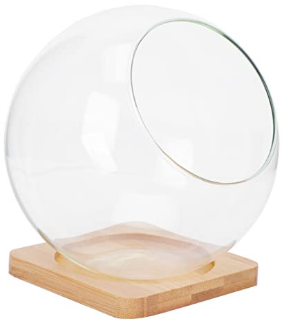 Happyyami Juego De Jarrones De Vidrio para Suculentas Diseño Transparente y Apertura Diagonal, Maceta De Cristal De 13.5x13.5 Cm Soporte De Bambú para Decoración del Hogar y Organización Funcional