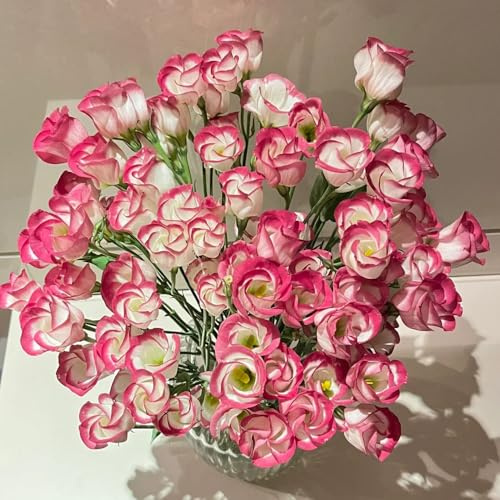 semillas de lisianthus eustoma, perennes resistentes jardín decoración 100pcs