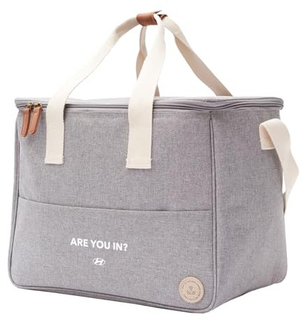 Hyundai HMD00627 Kühltasche Tasche Isoliertasche Picknickkorb Tragetasche Kühlkorb, grau