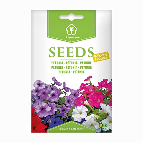 Petunia, Semi Minigarden, include tra 2400 e 2000 semi
