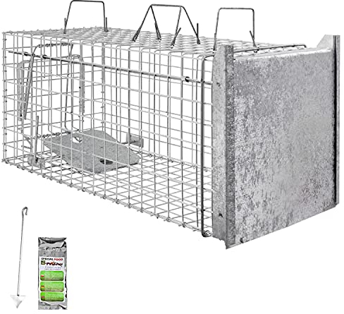 Petigi Tierfalle Lebendfalle für kleine bis mittelgroße Tiere wie Maus, Katze, Marder, Fuchs, Otter, Kaninchen, Drahtfalle, Modell: Stable 10 (80 x 34 x 34 cm)