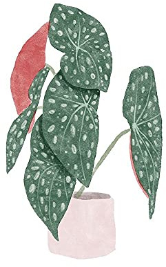 ArtExpert Polka Dot Begonia I by Bannarot - 12x12 Art Print Poster