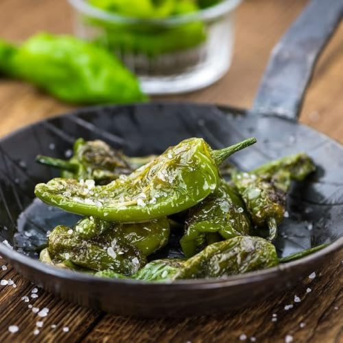 Semillas Pimiento Padrón Unos Pican y Otros No para Cultivar en Casa