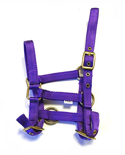 Rhinegold Halfter für Fohlen, Nylon, Violett