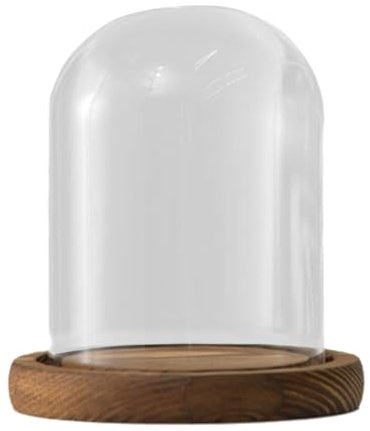 Qianly Dôme en Verre de 9cm avec Base en Bois pour Objets décoratifs, Style A