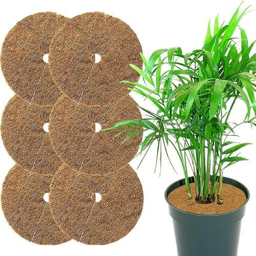 VIRSUS Disco pacciamatura per Piante 4652, Diametro 25 cm, in Fibra di Cocco Biodegradabile, Protezione antigelo Erbacce permeabile all'Acqua per Piante, Giardino Orto e Piante in vasi (6)