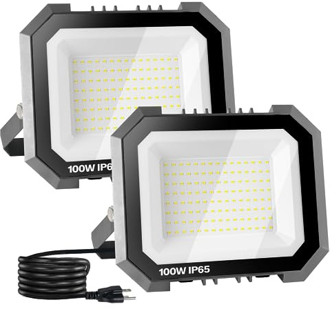 Leddictive 2 Pack LED Flood Lights Outdoor, 100W 10000LM Super Bright Floodlight Outside Work Light with 5.9FT Plug, IP65 Waterproof 6000K Outdoor LED Flood Light for Garage, Yard, Lawn, Garden