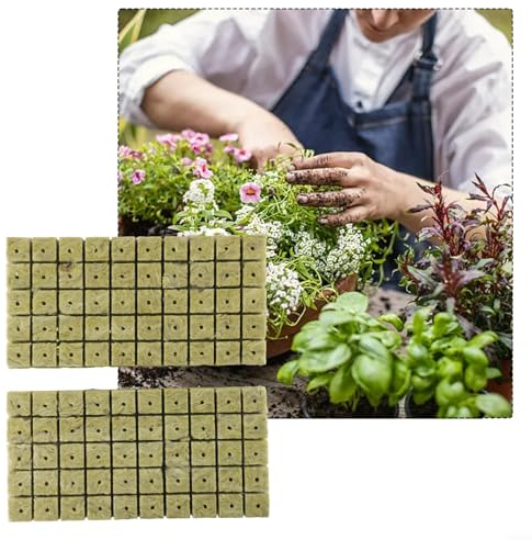 Hydrokultur-Würfel, Starterstecker für Pflanzenzucht, für Stecklinge, Klonen, Wachstumsmedium wachsen, erdloses Wachstum, Pflanzenvermehrung, kräftiges Wachstum, 100 Stück (50 Stück)