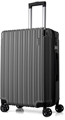 FLIEE Medium Suitcase Hard Shell|TSA 3 Digit Combination Lock |Lightweight Suitcase |4 Dual Spinner Wheels| Aluminum Telescopic Handle | Medium 24 Hold Check in Luggage (Grey, Medium 24)