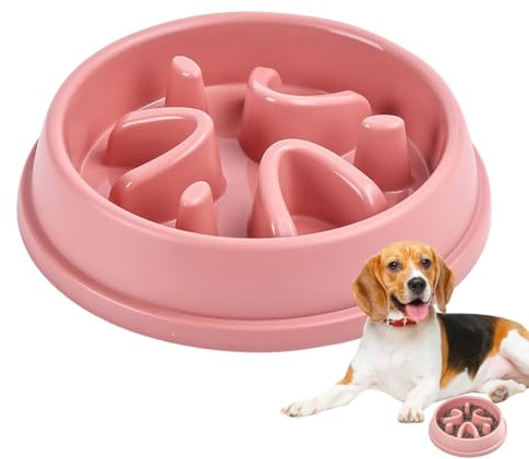Gamelles pour Chien à Alimentation Lente Petite Race, Gamelles pour Chien à | Bol d'alimentation lente anti-avalement pour