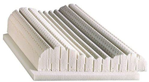 Billerbeck Exclusiv DAUNALEX - das daunenweiche Nackenstützkissen 40 x 80 cm