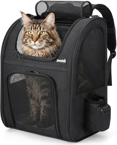 Pecute Sac Transport Chat, Sac Dos pour Chien Petit Animal avec Matelas en Peluche Amovible, Filet Respirant, Spacieux, Pliable, pour Voyage en Train/Voiture/Restaurant/Avion