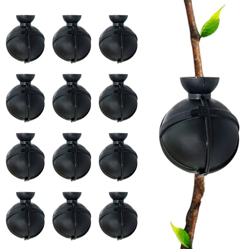 JINGHANGER 12 Piezas Dispositivo de Enraizamiento de Plantas Caja de Crecimiento de raíces de Plantas Propagación de Plant para Injerto de Jardín