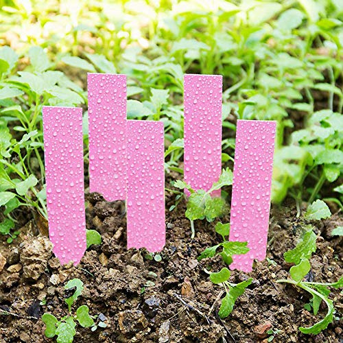 Generic Etichette per Semi di Piante Pennarello Resistente e Impermeabile per Giardino 100 Pezzi per Vassoi di Semi, Vasi, Piante Giovani - Etichette per Vivaio in Plastica Bianca, Gialla, Verde,