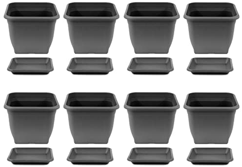 HAC24 8X Pflanztopf 19 x 19 cm Kunststoff incl. Untersetzer Eckig Anthrazit Pflanzkübel Pflanzuntersetzer Blumentopf Blumenkübel Pflanzcontainer
