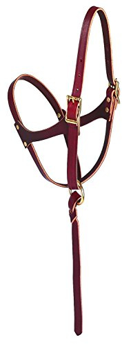 Weaver Leather Figure-8 Foal Halter