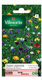 Vilmorin - Sachet graines Gazon Japonais surface 4m²