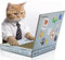 SUCK UK Kratz-Laptop aus Pappe für Katzen | Katzenspielzeug | Laptop | Computer | Kratzbaum | Kratzbrett | Katzenminze | Kratzmöbel | Kratzmatte | Kratzspielzeug | Katze | Katzen | Kratzpappe